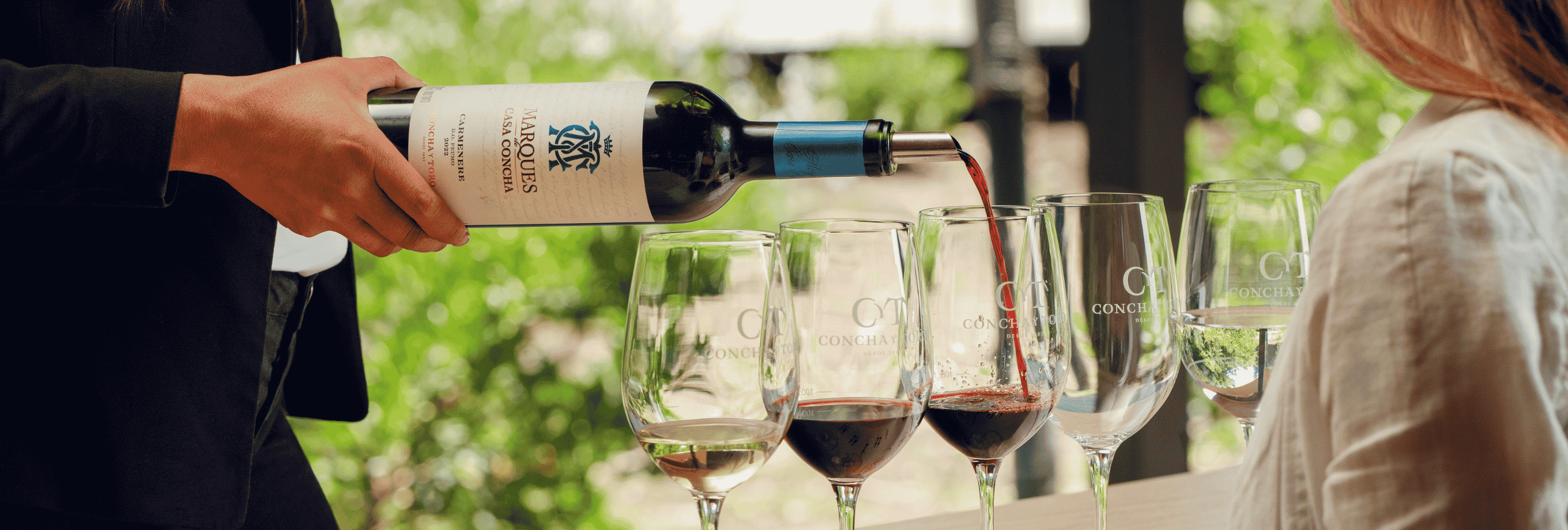 Centro del Vino de Concha y Toro