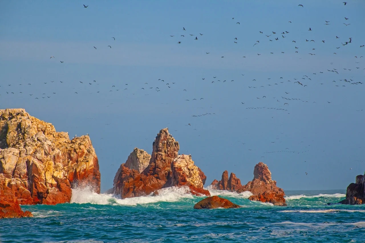 Las Islas Ballestas: un refugio de vida silvestre en la costa peruana