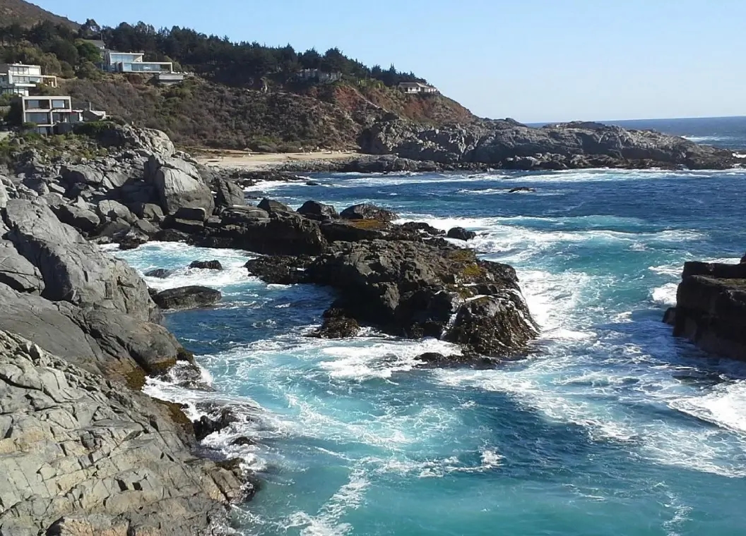 Papudo: bosques costeros y playas