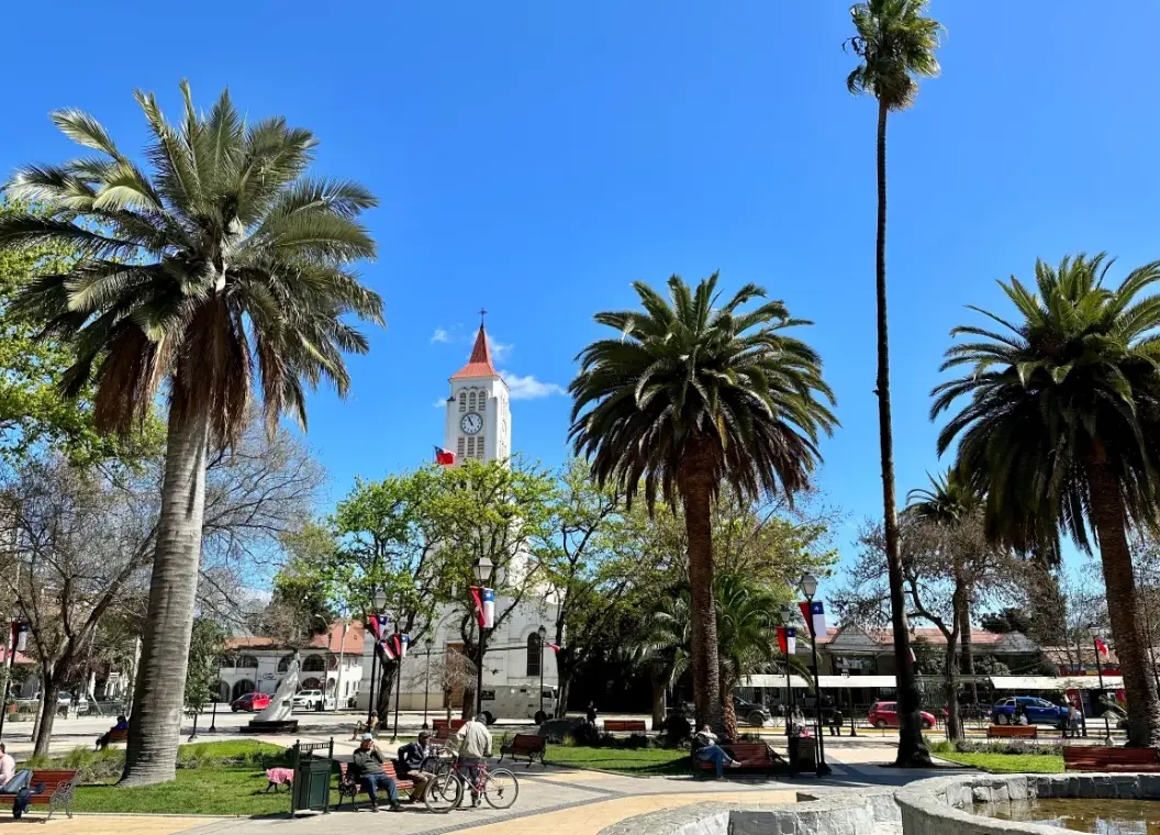 Casablanca: valles vitivinícolas y tradición campestre