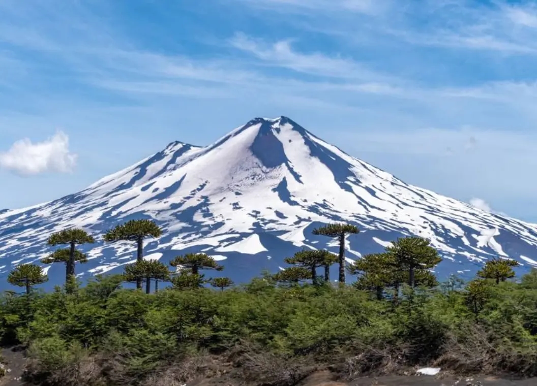 Curacautín: valles de lava, termas y araucarias 