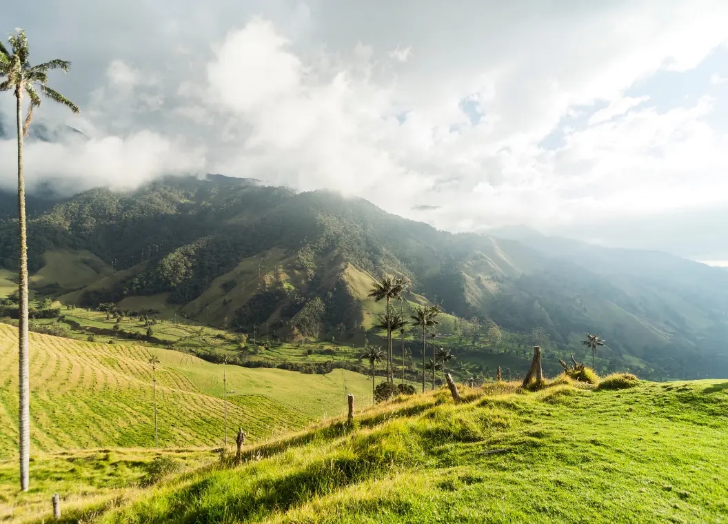 Qué hacer en Departamento del Quindío