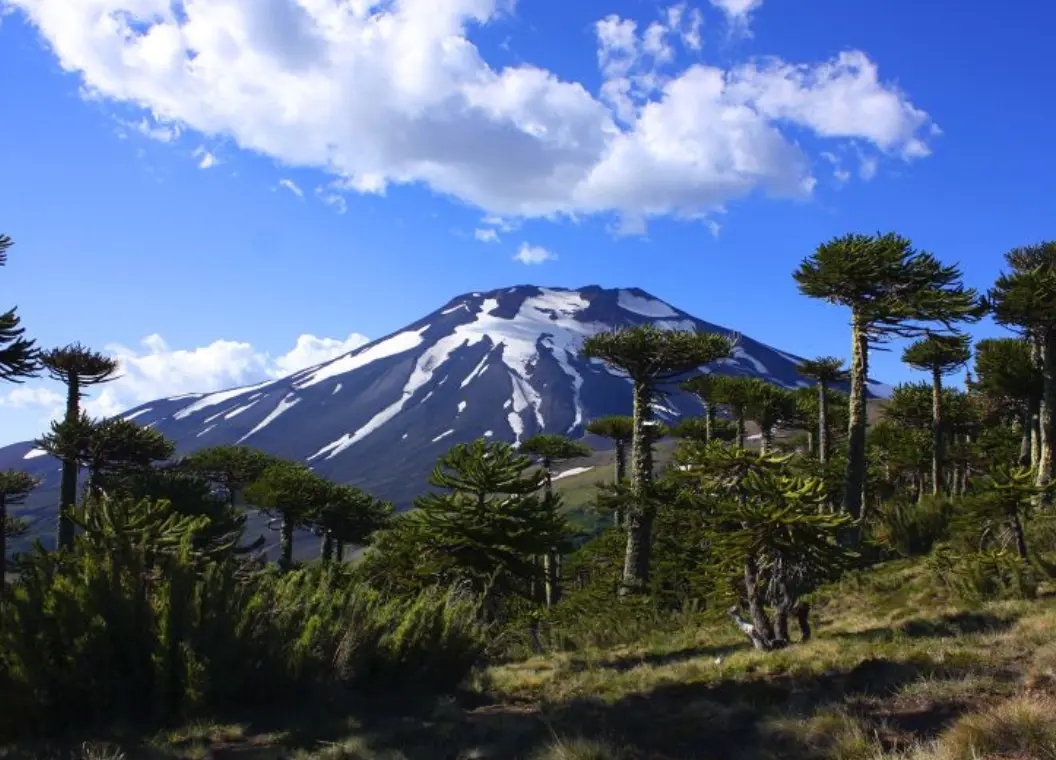 Malalcahuello: bosques, termas y senderos volcánicos