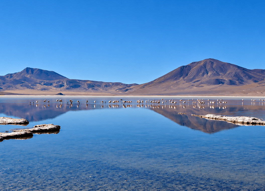 Huasco: playas, Desierto Florido y Valle del Olivo
