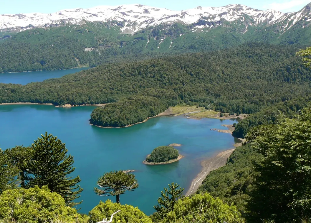 Melipeuco: ríos de lava, bosques de araucarias y la puerta al Llaima