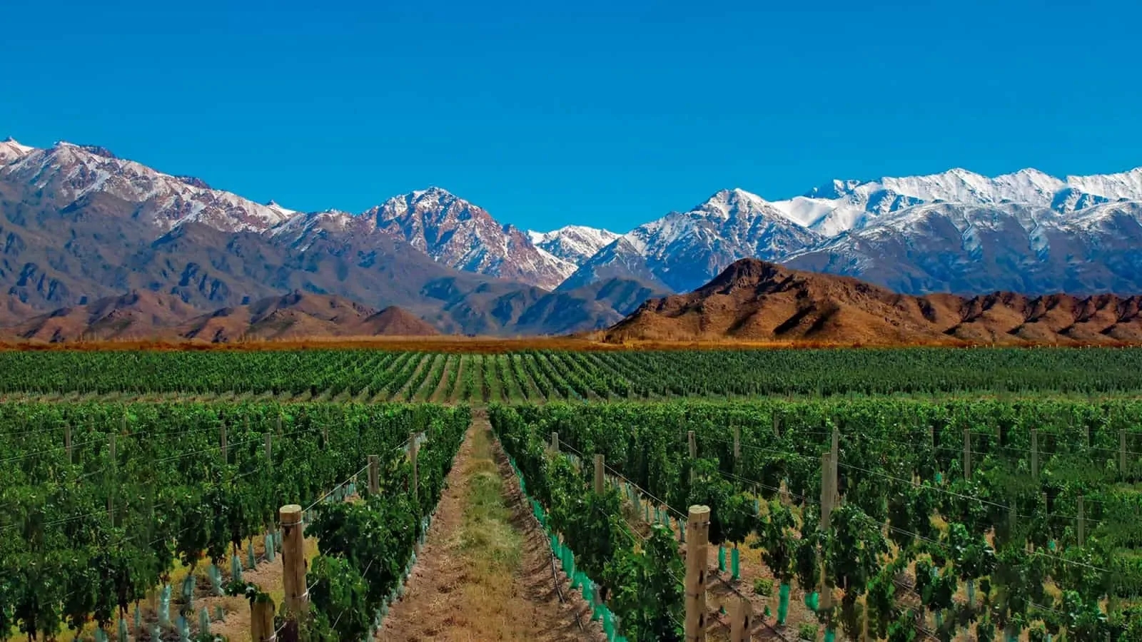 Qué hacer en Provincia de Mendoza