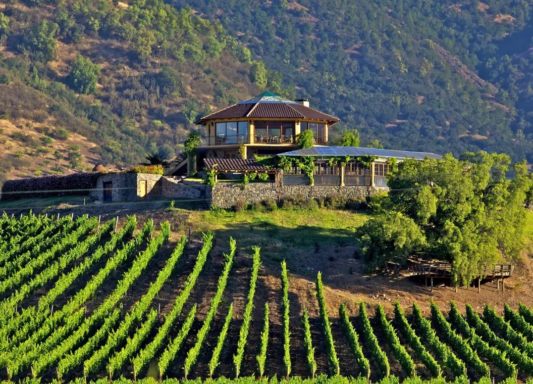 Santa Cruz: tradiciones, arquitectura colonial y el corazón del vino