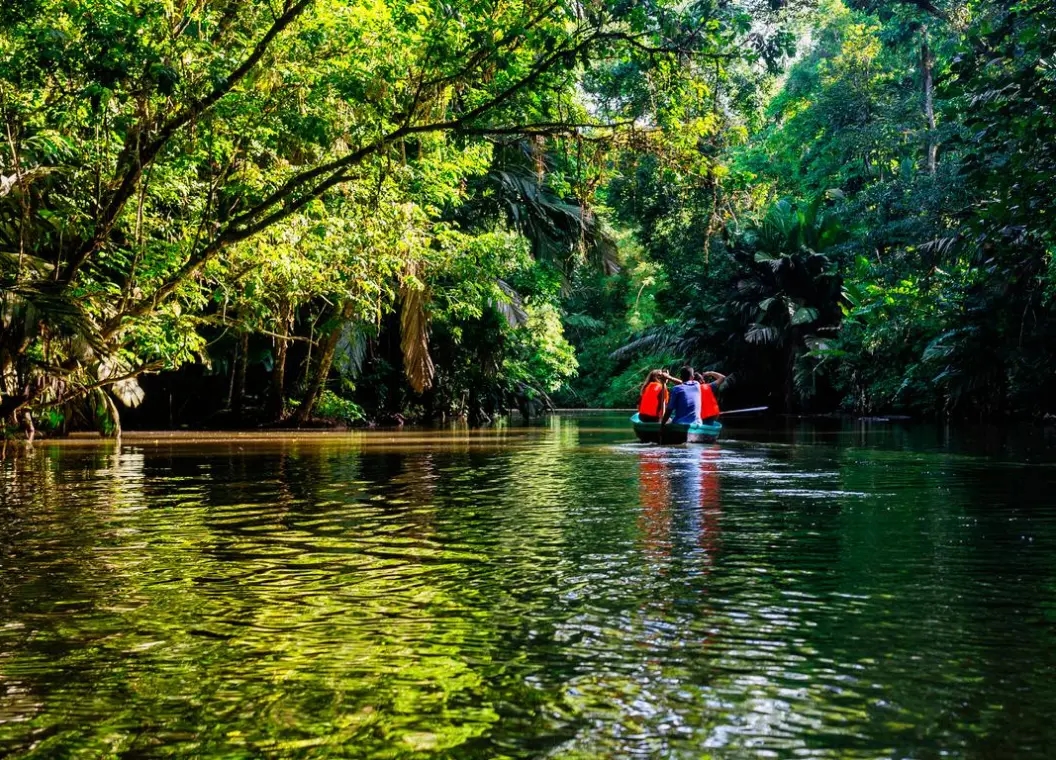 Qué hacer en Tortuguero