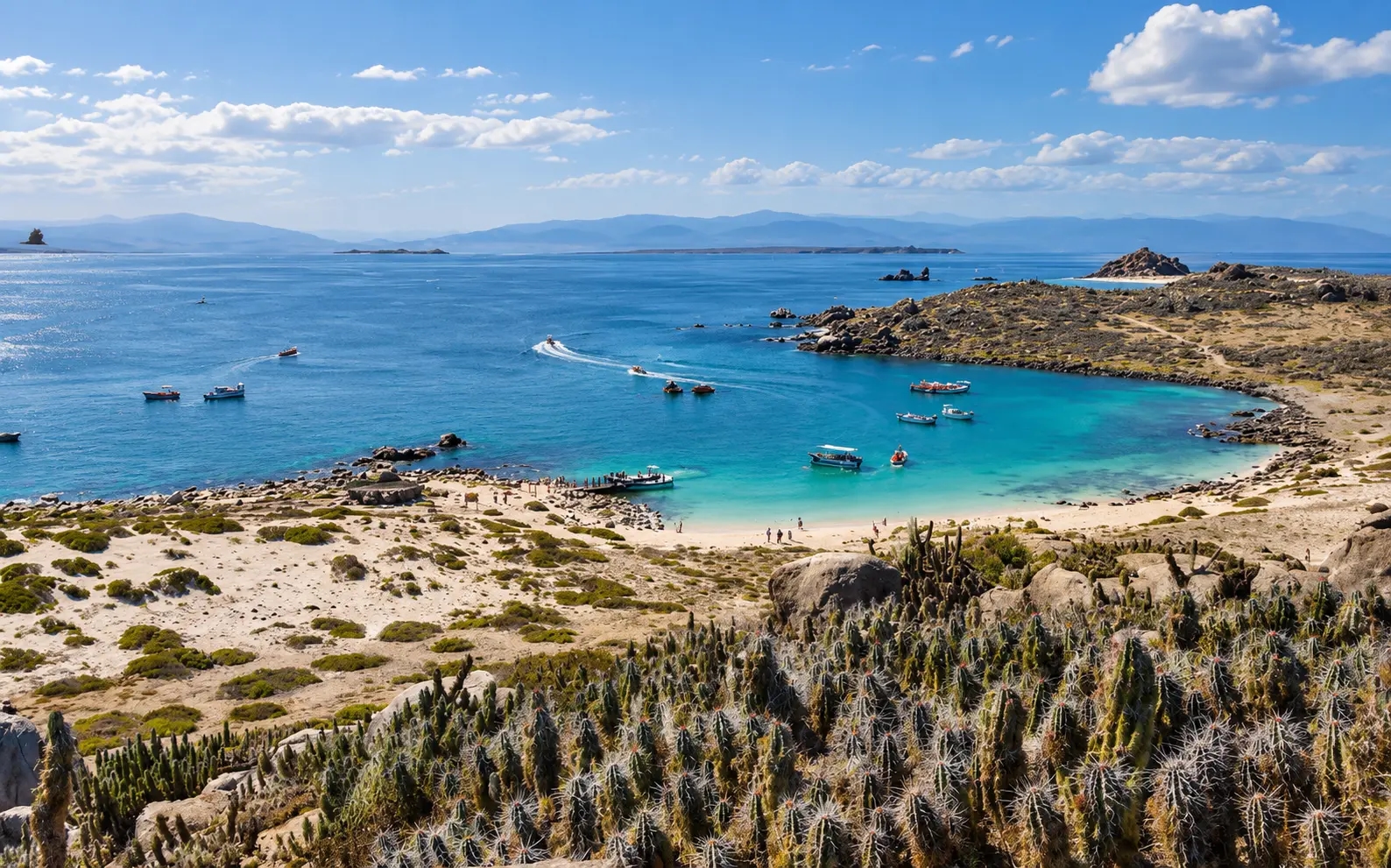 La Higuera: Punta de Choros, pingüinos de Humboldt y fauna marina