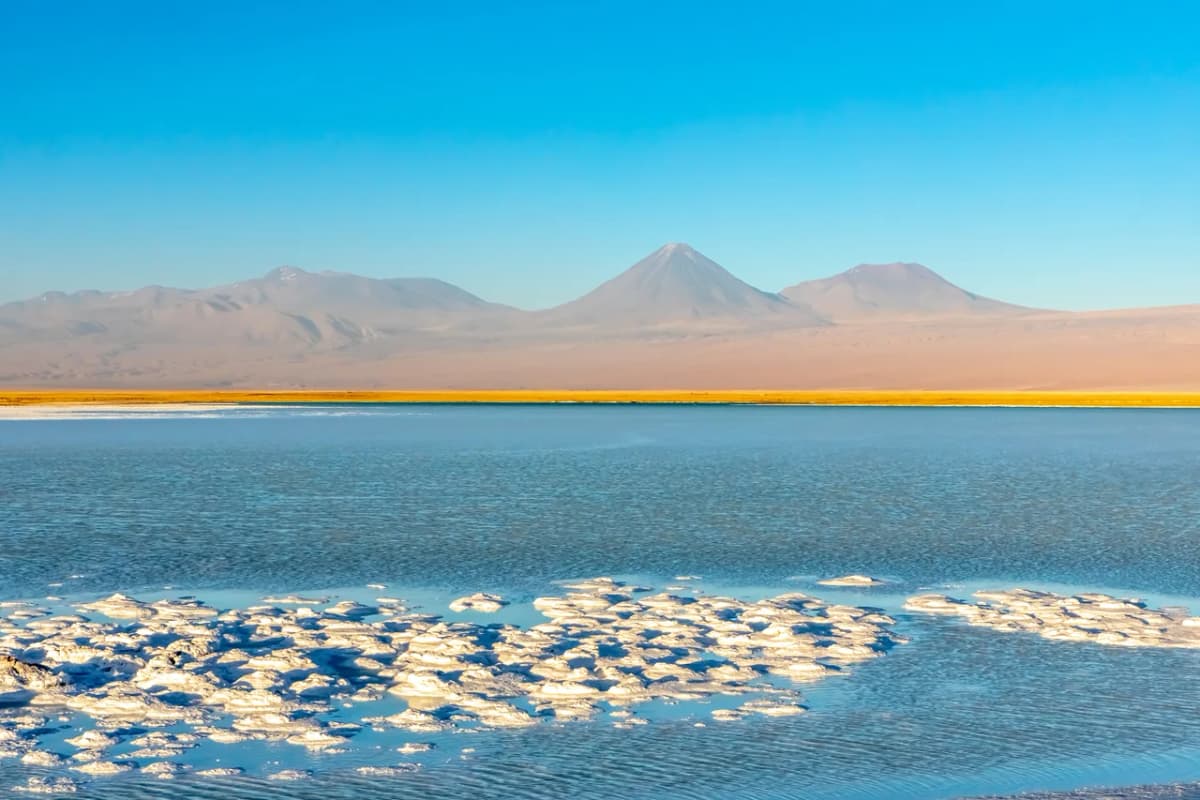 Salar de Atacama: qué hacer, fauna y consejos 