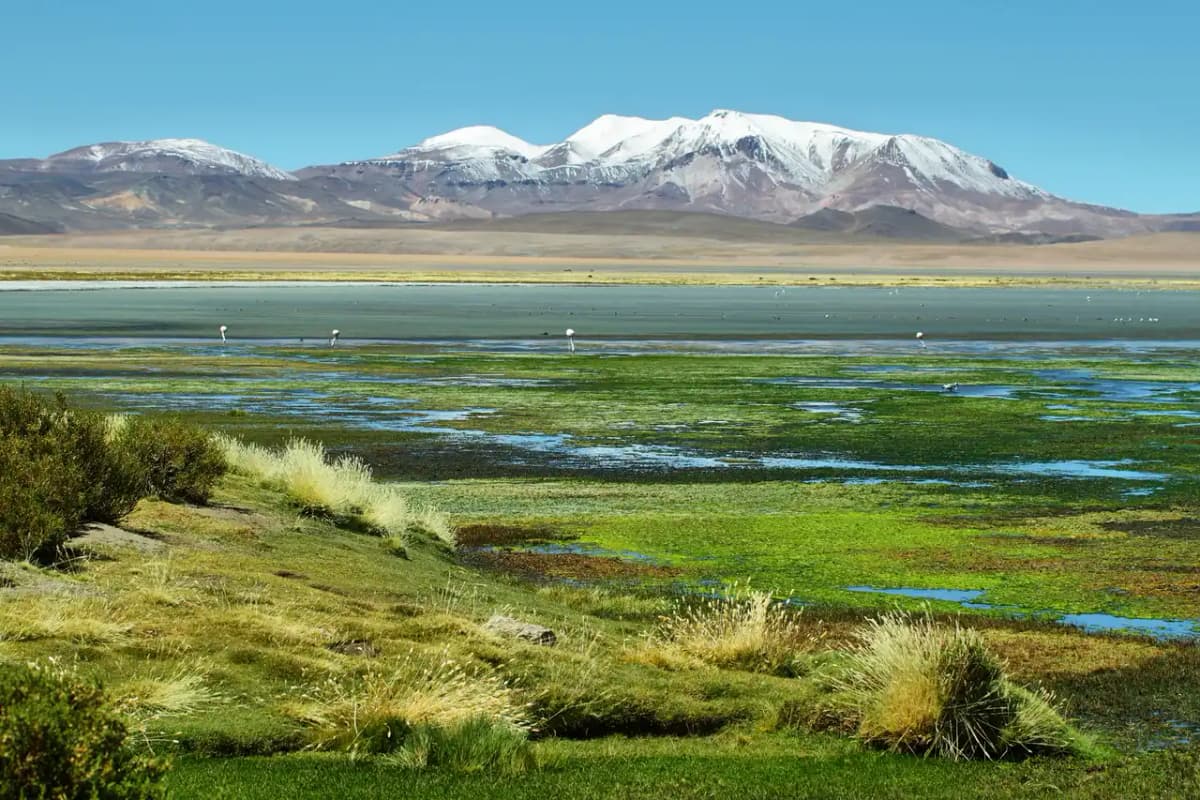 Qué hacer en San Pedro de Atacama: 10 lugares imperdibles en el desierto más árido del mundo