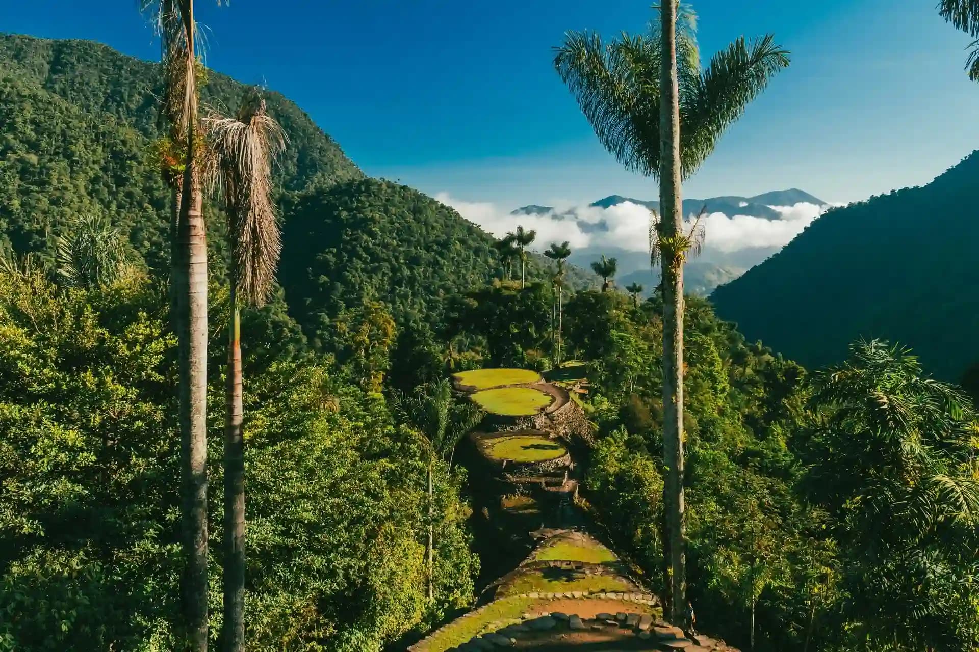 Todo sobre el Trekking a Ciudad Perdida 