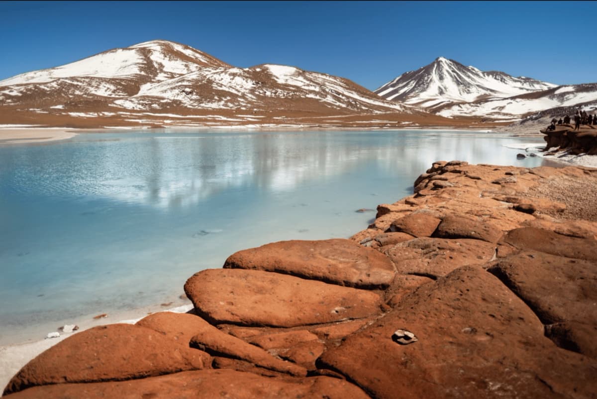 Tour Piedras Rojas y Lagunas Altiplánicas desde San Pedro de Atacama