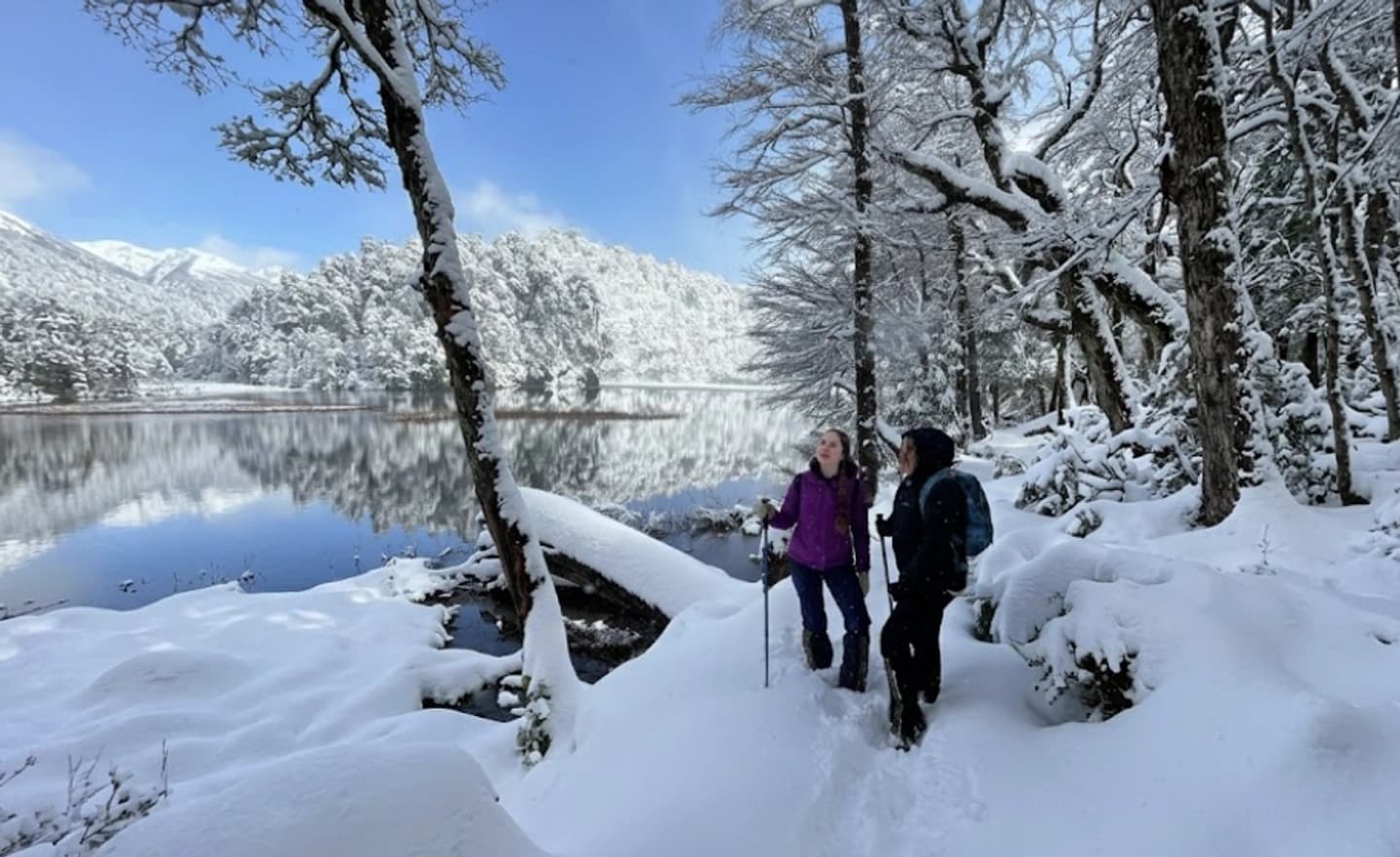 Trekking Parque Nacional Huerquehue desde Pucón