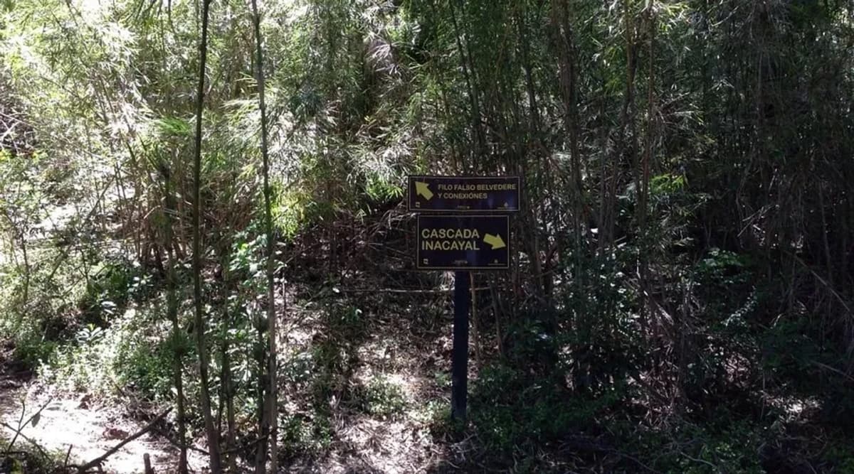 Cabalgata  Mirador Belvedere y Cascada Inacayal