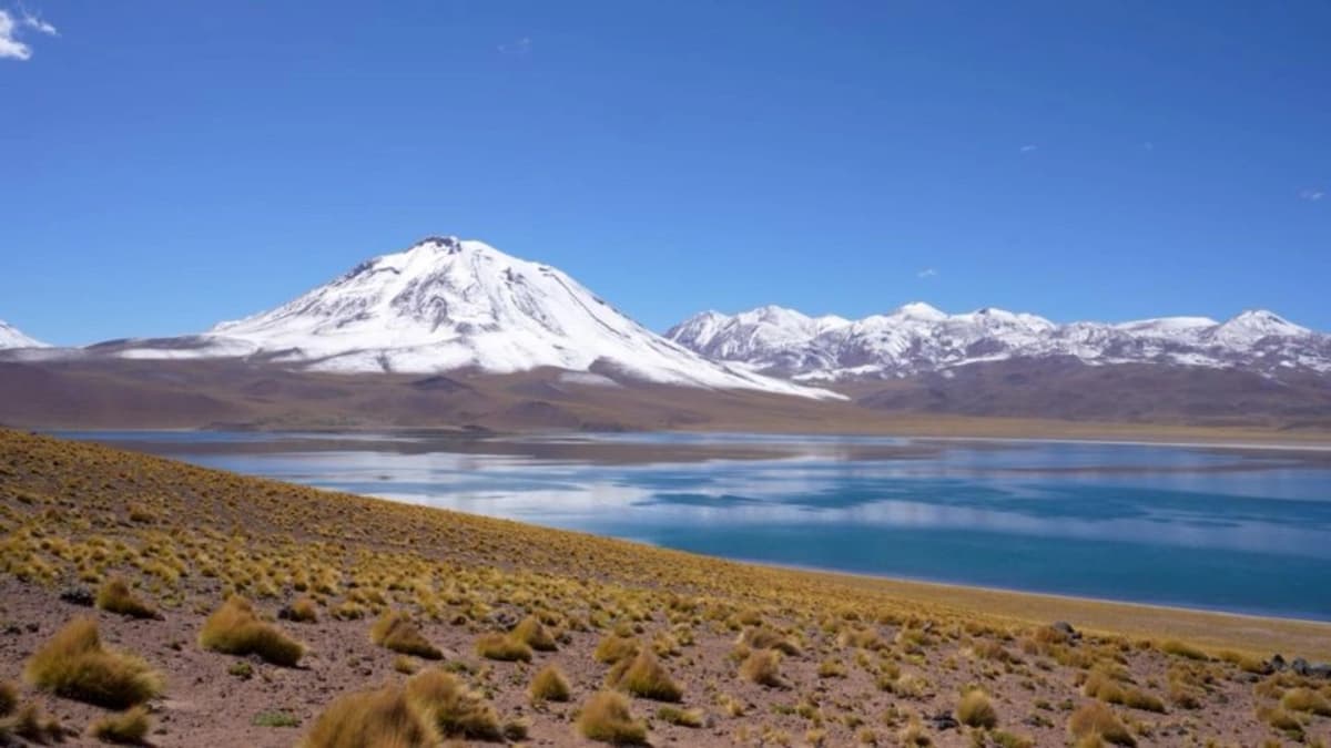 Piedras Rojas y Lagunas Altiplánicas: Maravillas Andinas