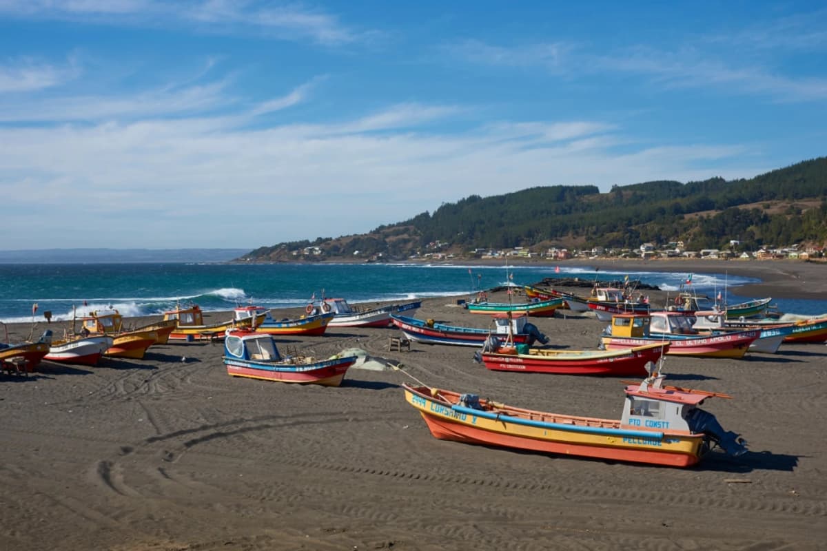 Entrada Reserva Nacional Federico Albert