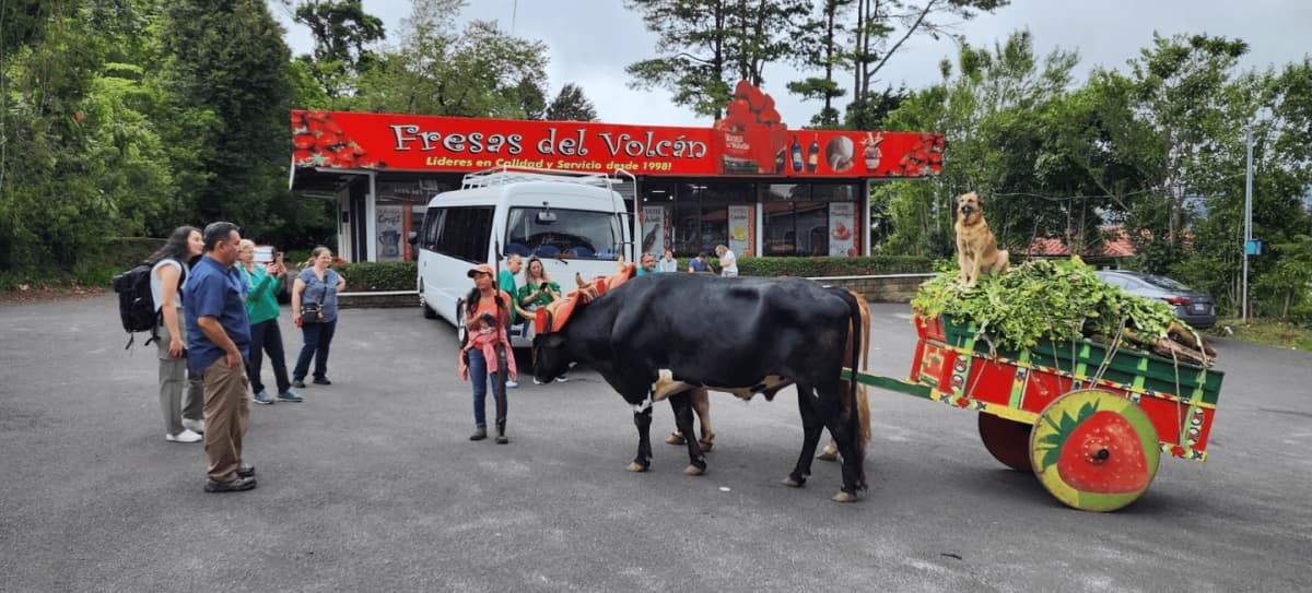 Tour al Volcán Poás, Hacienda Doka y Artesanías en Sarchí