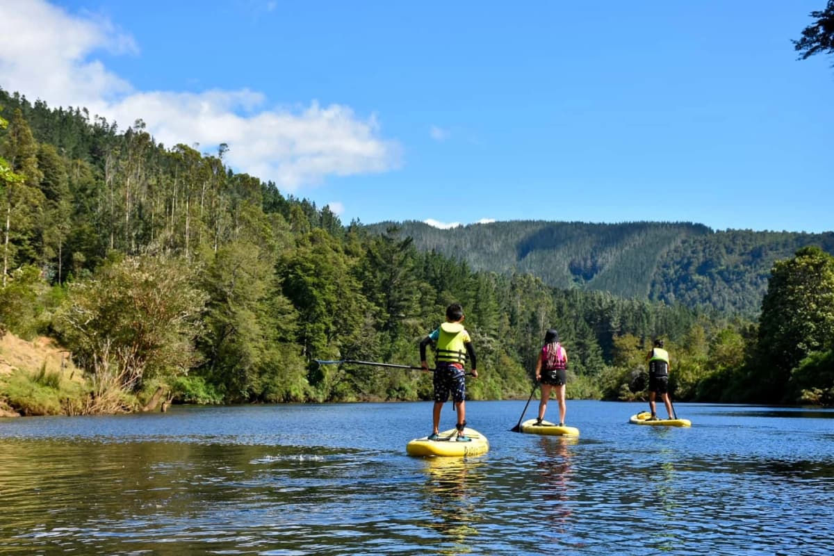 Navegación en Stand up Paddle por el Río Futa: Paz en un Paraíso Escondido