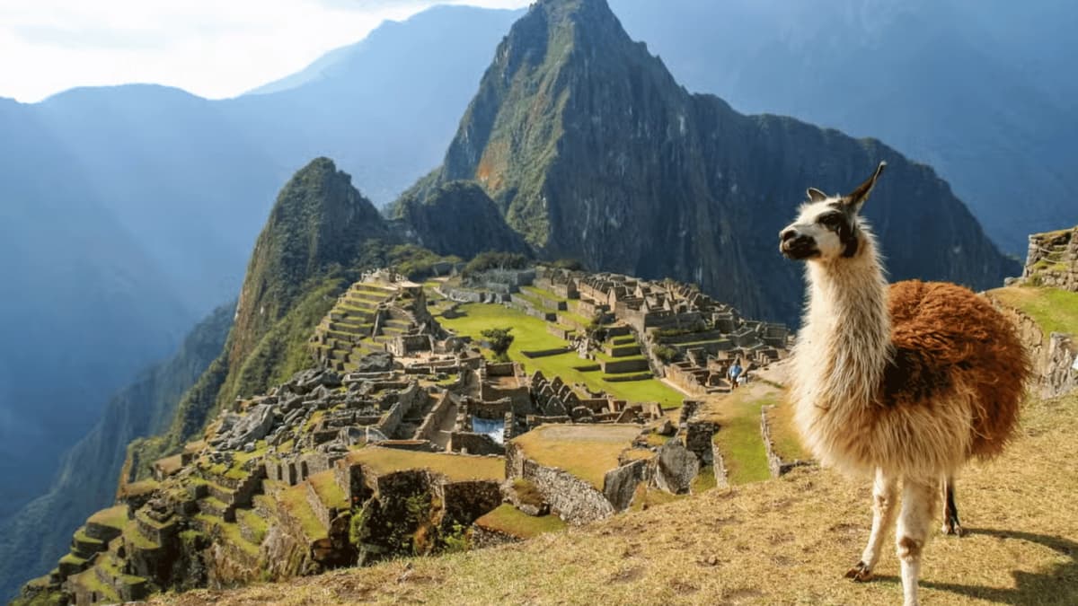 Ruta de 3 días por la Selva Inca a Machu Picchu desde Cusco