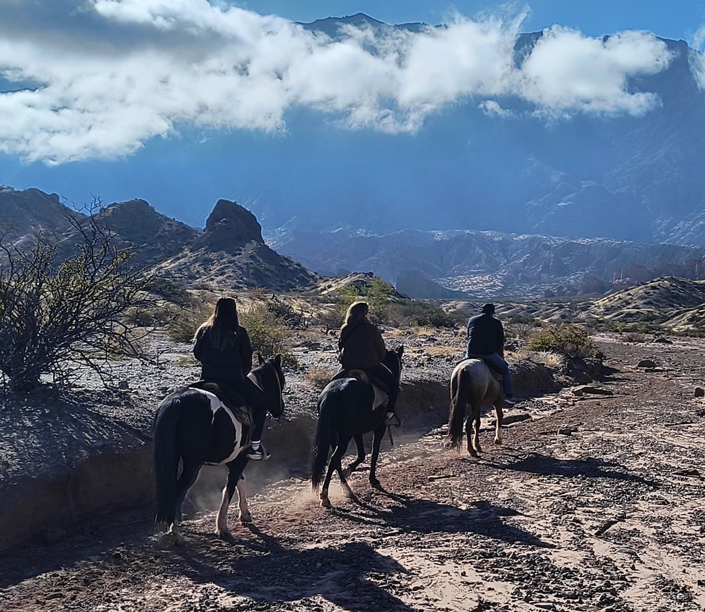 Cabalgata por Río, Médanos y Mirador de Los Colorados de Cafayate