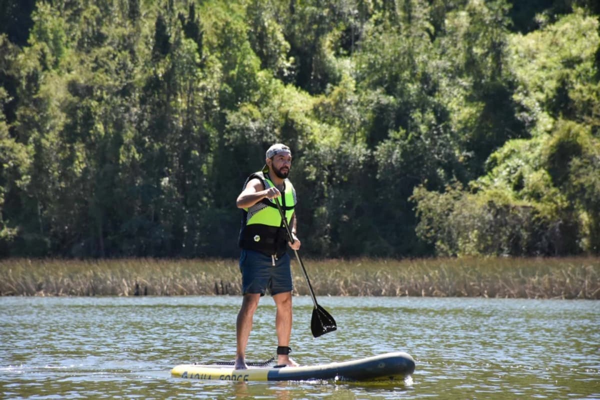Descubre el Bosque Valdiviano desde el Agua: SUP en Valdivia