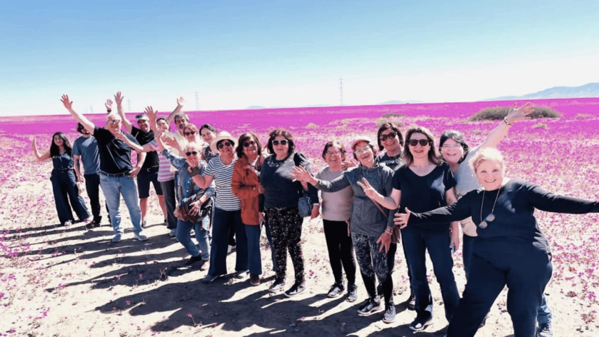 Tour por el Desierto Florido de Atacama desde La Serena