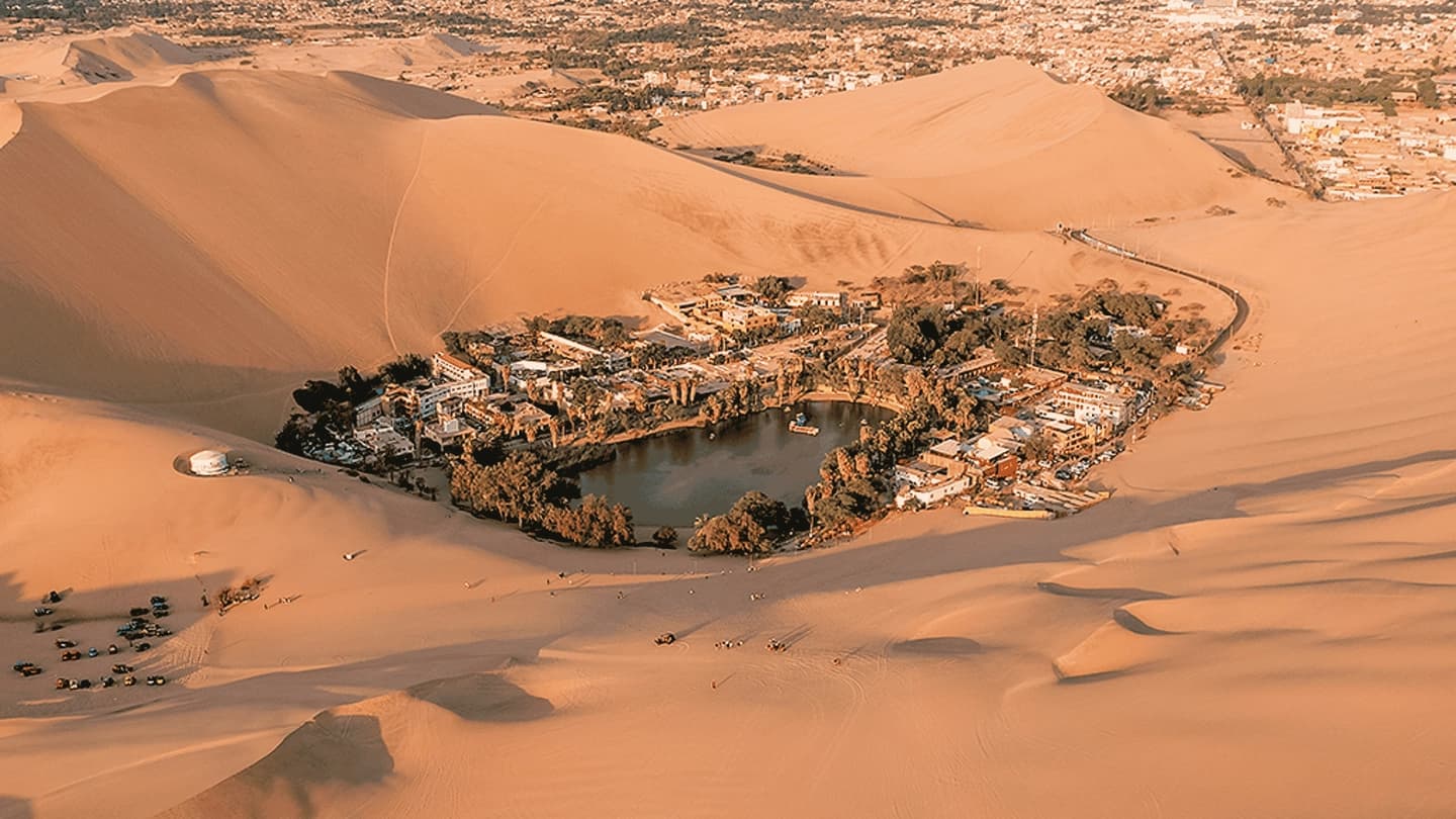 Tour Islas Ballestas, Ica y Huacachina desde Lima