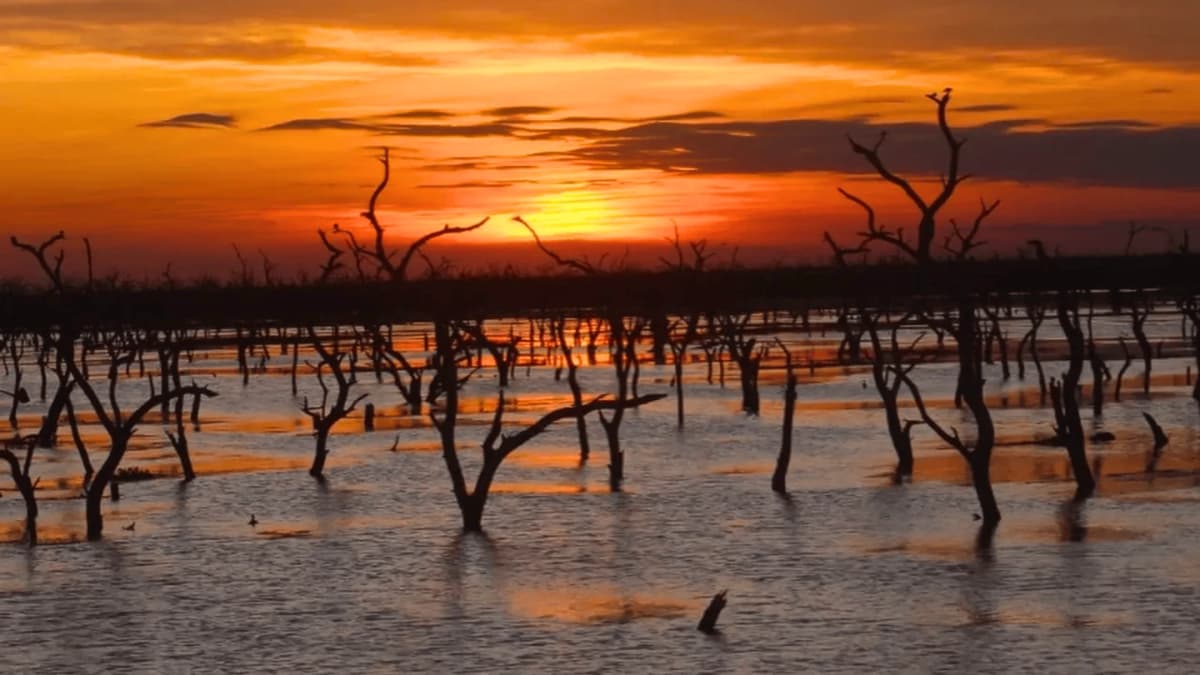 Excursión a Bañado la Estrella y Vertedero