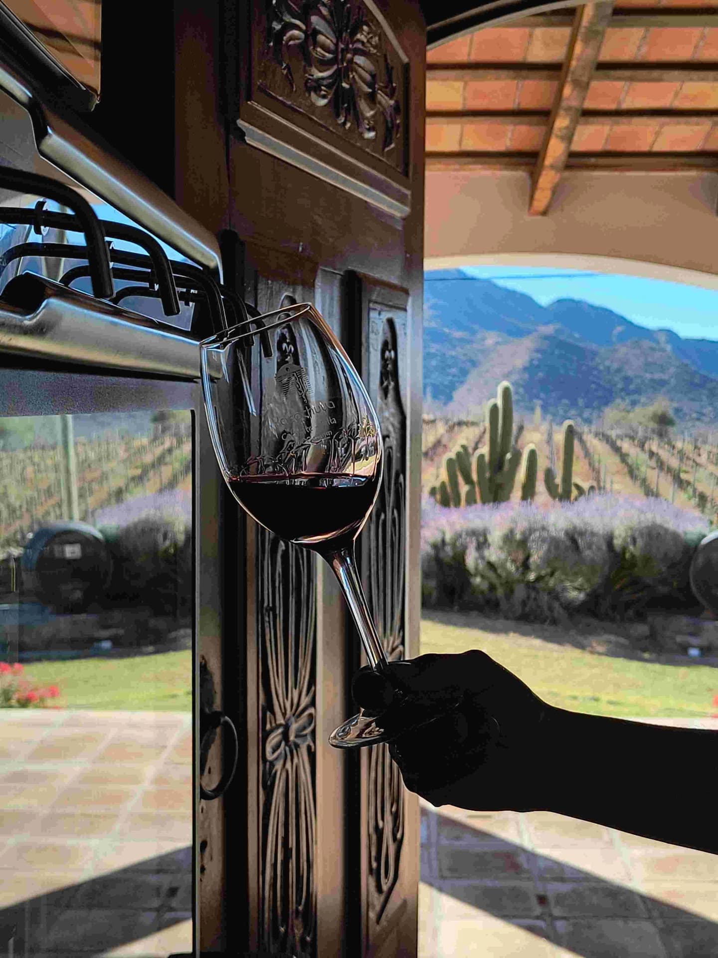 Excursión al Camino del Vino de Cafayate