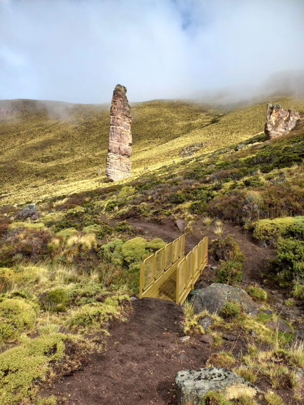 Entrada Parque Nacional Patagonia - Sector Cueva de las Manos