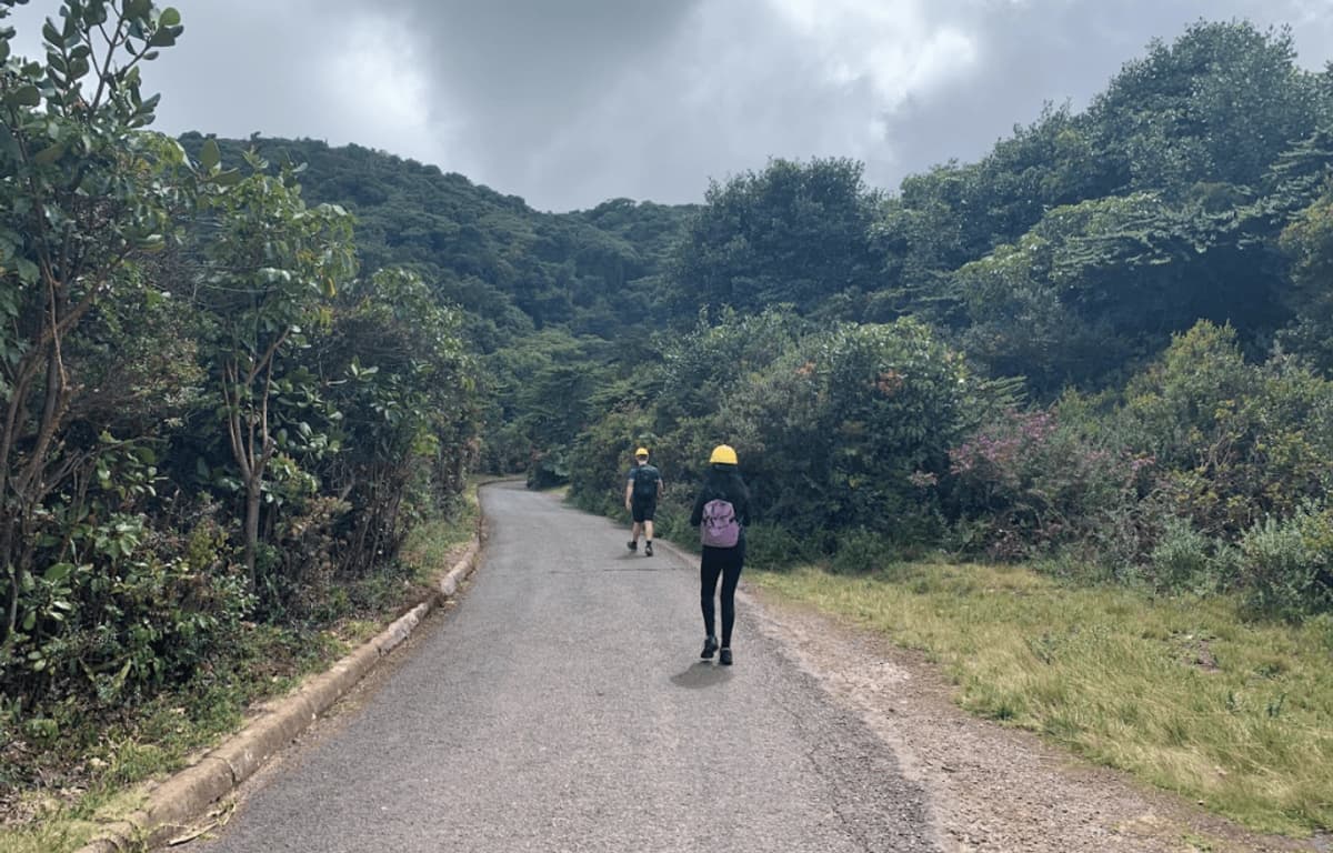 Tour al Volcán Poás y Hacienda Cafetalera Doka Estate