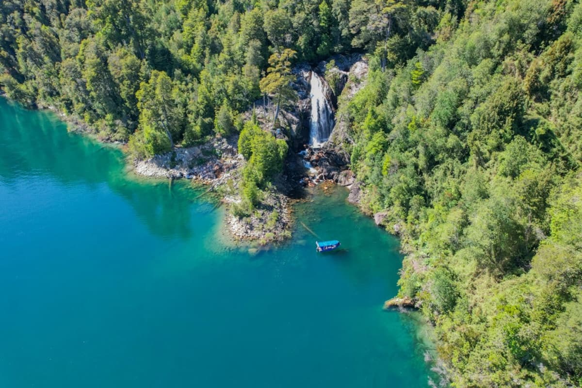 Navega y Explora el Parque Aliwen: El Tesoro del Sur de Chile