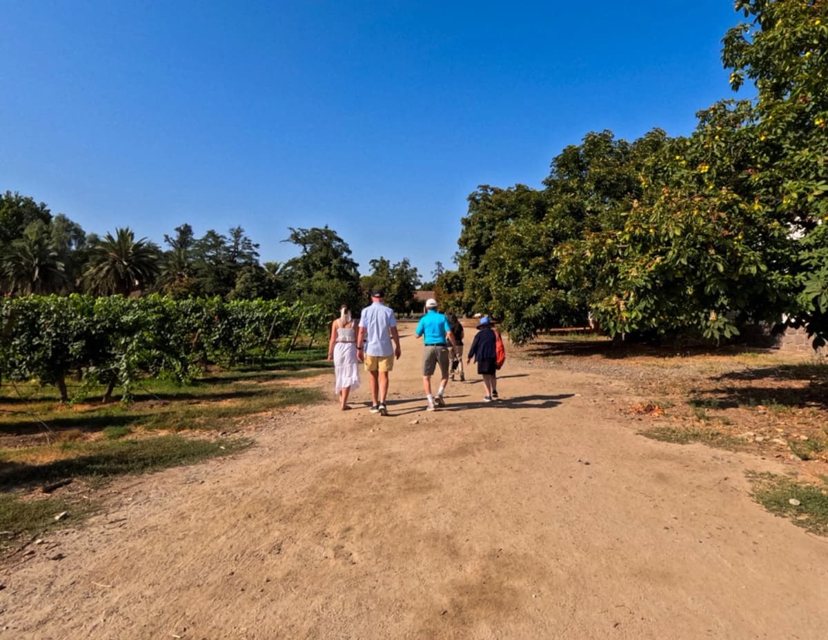 Tour Viña Santa Rita desde Santiago