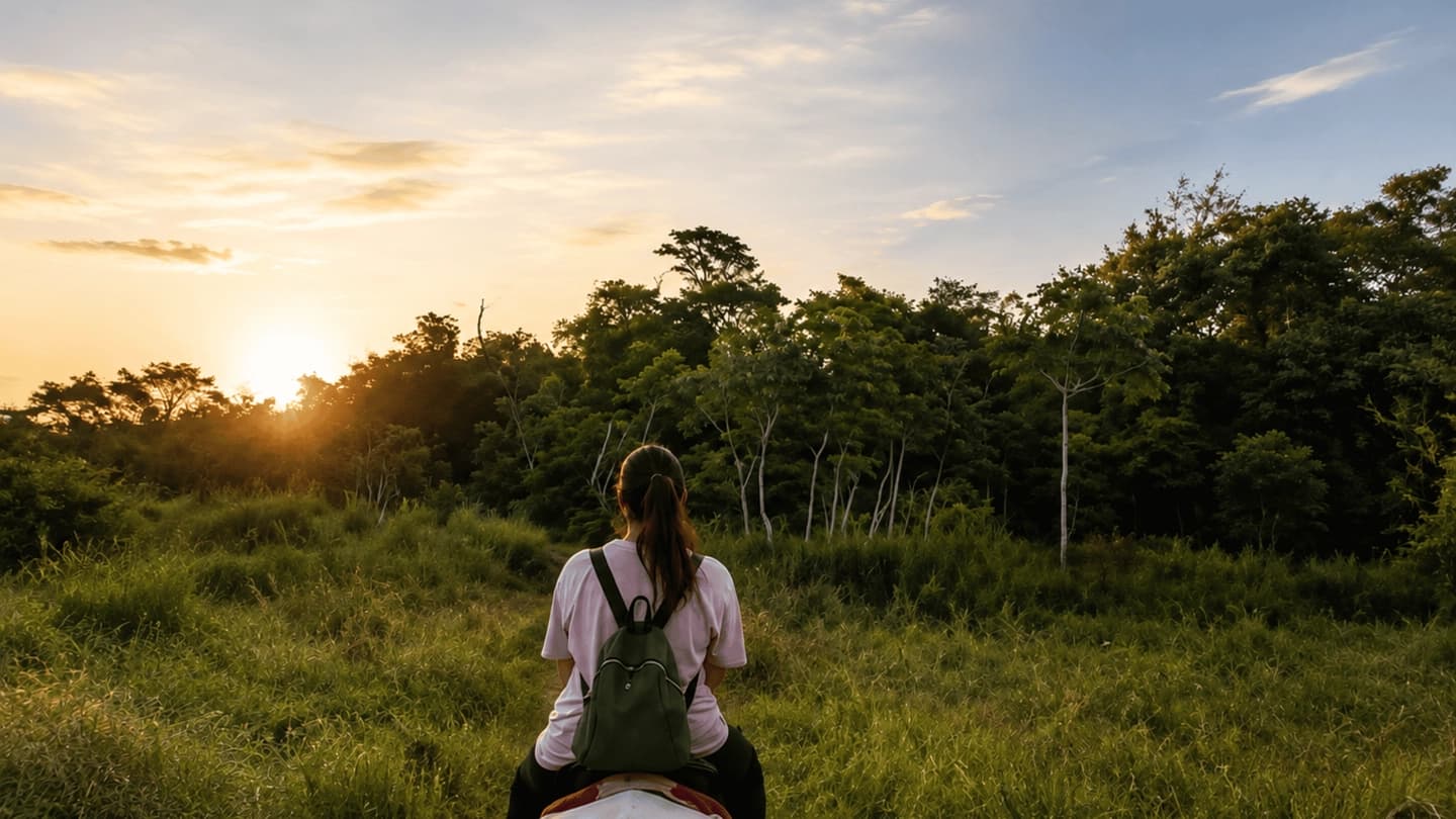 Ecological Horseback Ride in the Iguazú Jungle