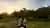 Ecological Horseback Ride in the Iguazú Jungle