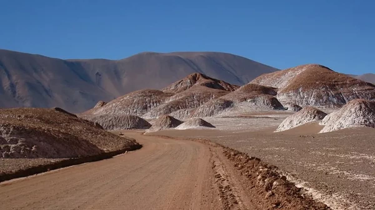 Travesía a Tolar Grande Explorando la Puna Salteña