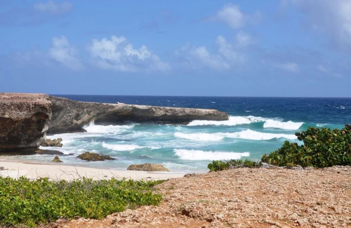 Excursión de Trekking en Parque Nacional Arikok