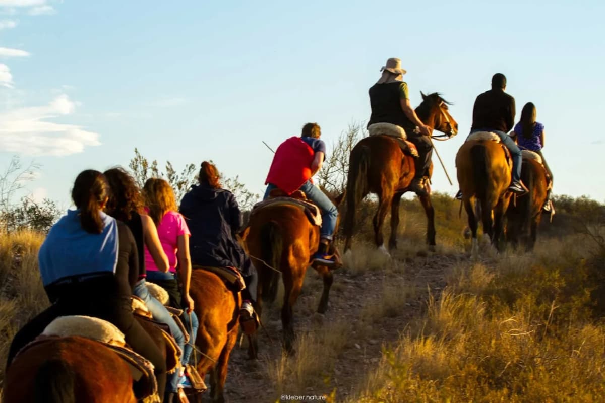 La Mejor Cabalgata al Atardecer y Asado en Mendoza