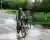 Excursión en Bicicleta por los Molles y Rodeo en Villa las Rosas