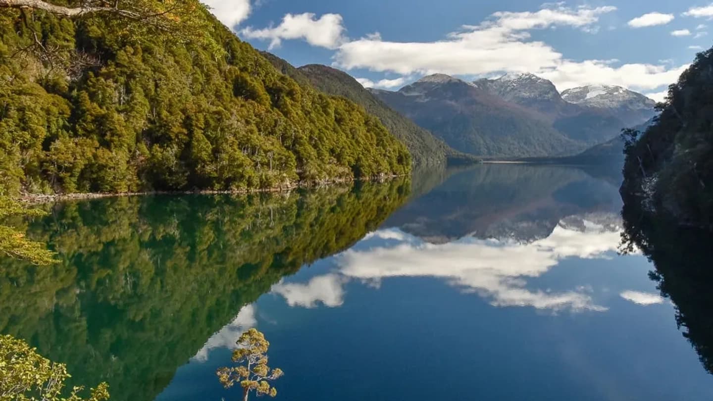 Excursión al Parque Nacional Los Alerces de medio día desde Esquel