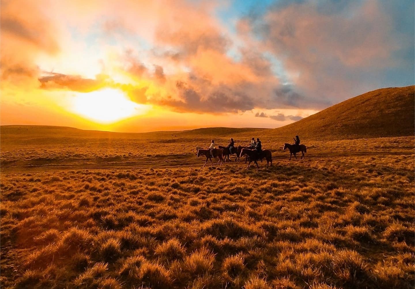 Cabalgata en Monte Terevaka, vive el mejor atardecer en Rapa Nui