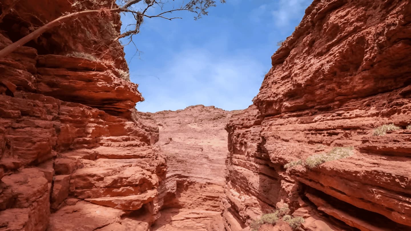 Excursión a Cafayate, Tierra de Vinos y Quebradas  desde Salta