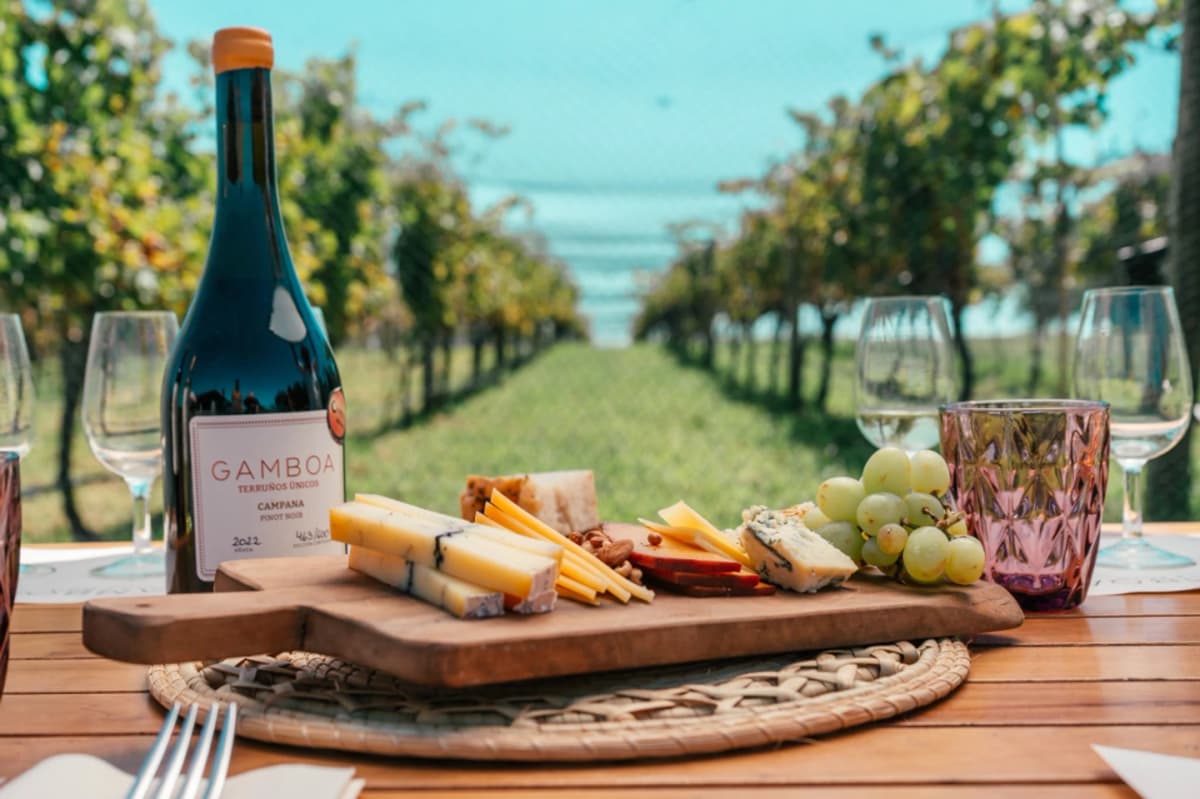 Experiencia Vitivinícola  Bodega Gamboa