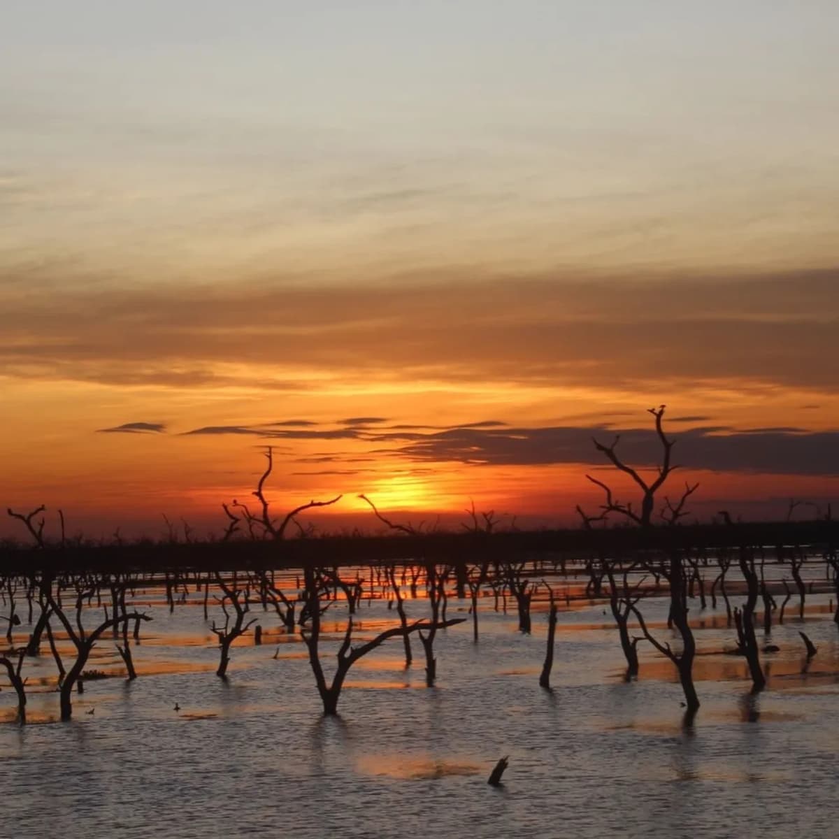 Excursión a Bañado la Estrella y Vertedero