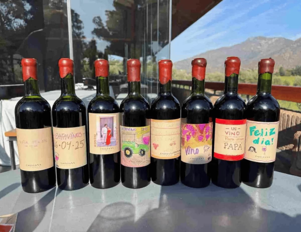 Casablanca: Haz tu propio vino en Viña Emiliana