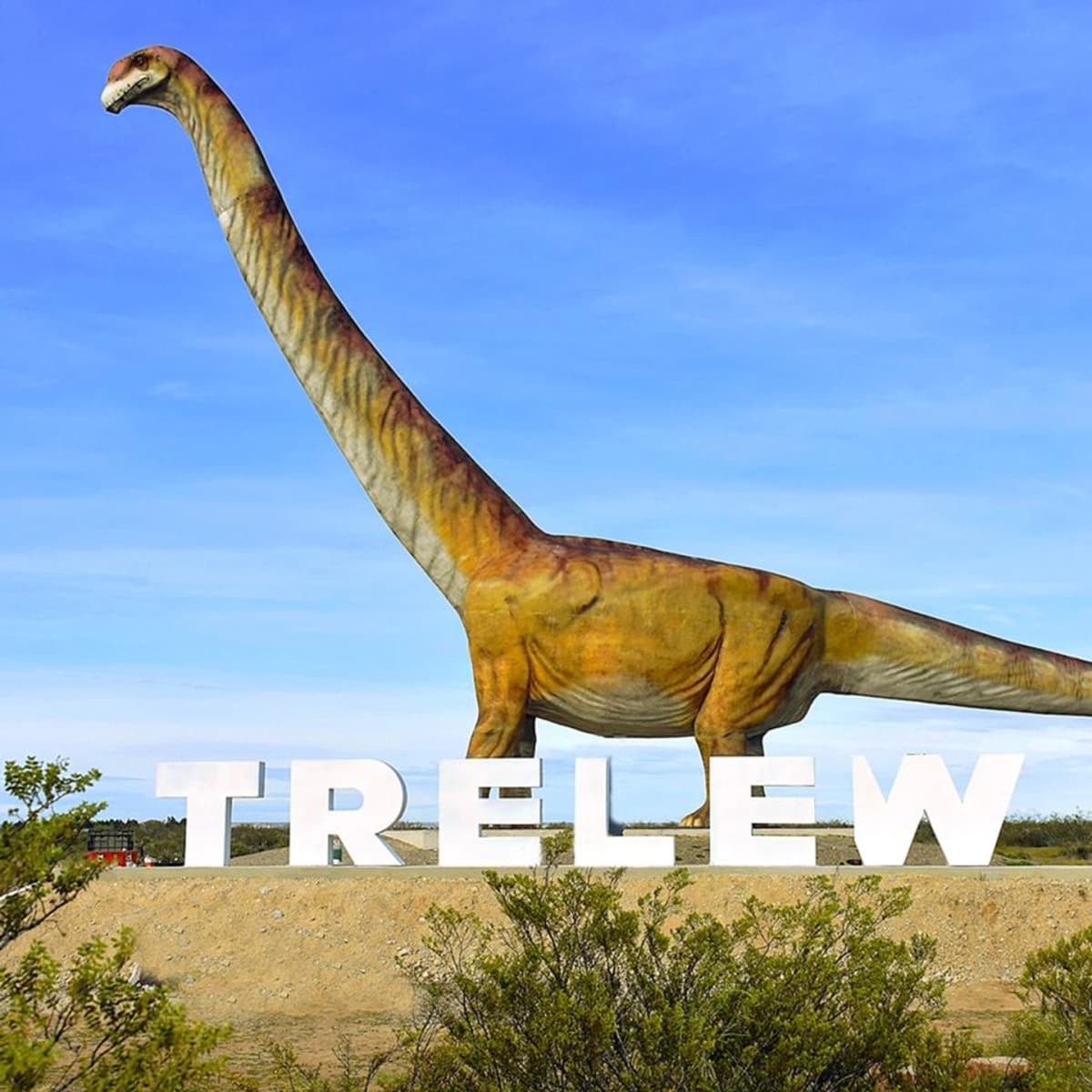 Excursión Valle Inferior: Rawson, Trelew y Gaiman