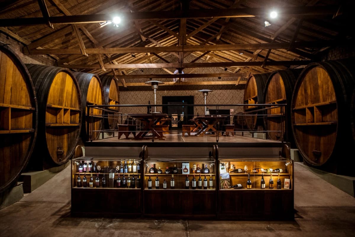 Wine Tour Superior: Degustación y Almuerzo Gourmet