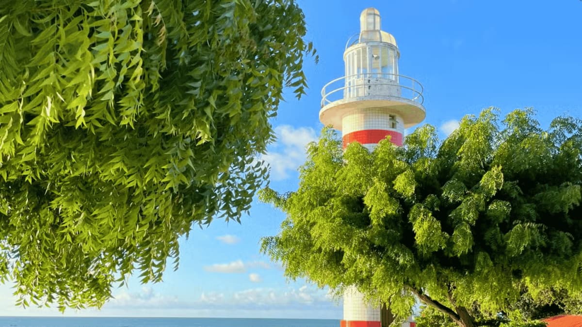 Excursión a Paracuru desde Fortaleza con tour en buggy 