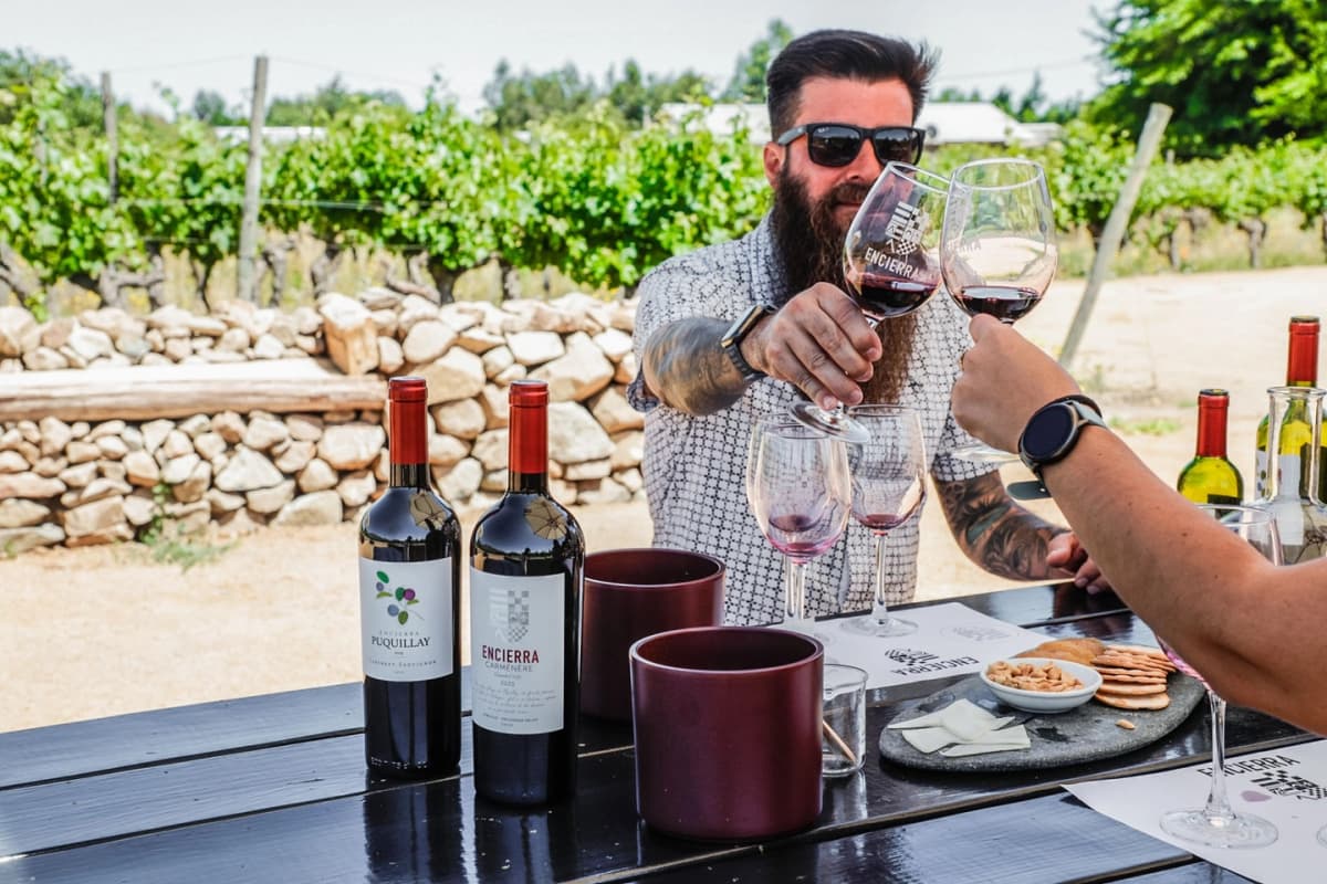 Momento Tour & Degustación: Historia y Vinos Icónicos de Viña Encierra